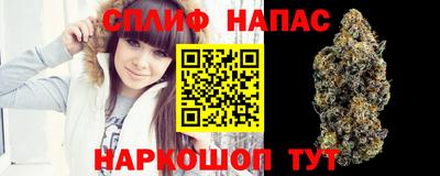 тгк Камышлов