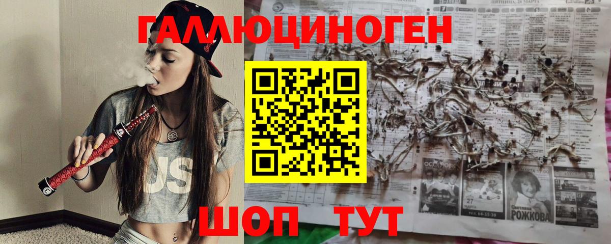 Магнитогорск  закладка  Вход с VPN  Псилоцибиновые грибы Psilocybe 